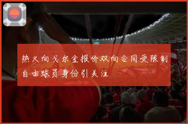 热火向戈尔金报价双向合同受限制自由球员身份引关注