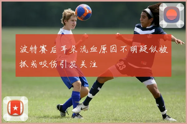 波特赛后耳朵流血原因不明疑似被抓或咬伤引发关注